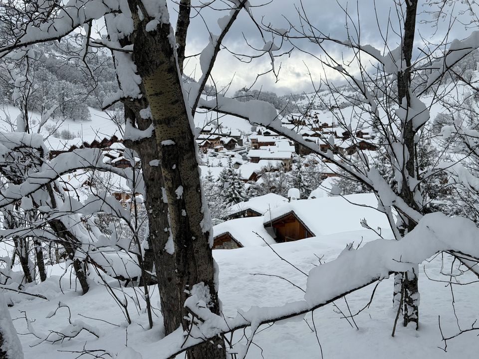 The last of the run home, dropping through the trees straight to the chalet — on a good day you can ski off the piste to the door.